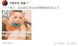 吃瓜鹅每日爆料杜江,吃瓜鹅每日爆料，揭秘明星背后的故事