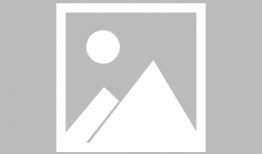 公鸡打鸣视频,清晨唤醒自然的动人旋律